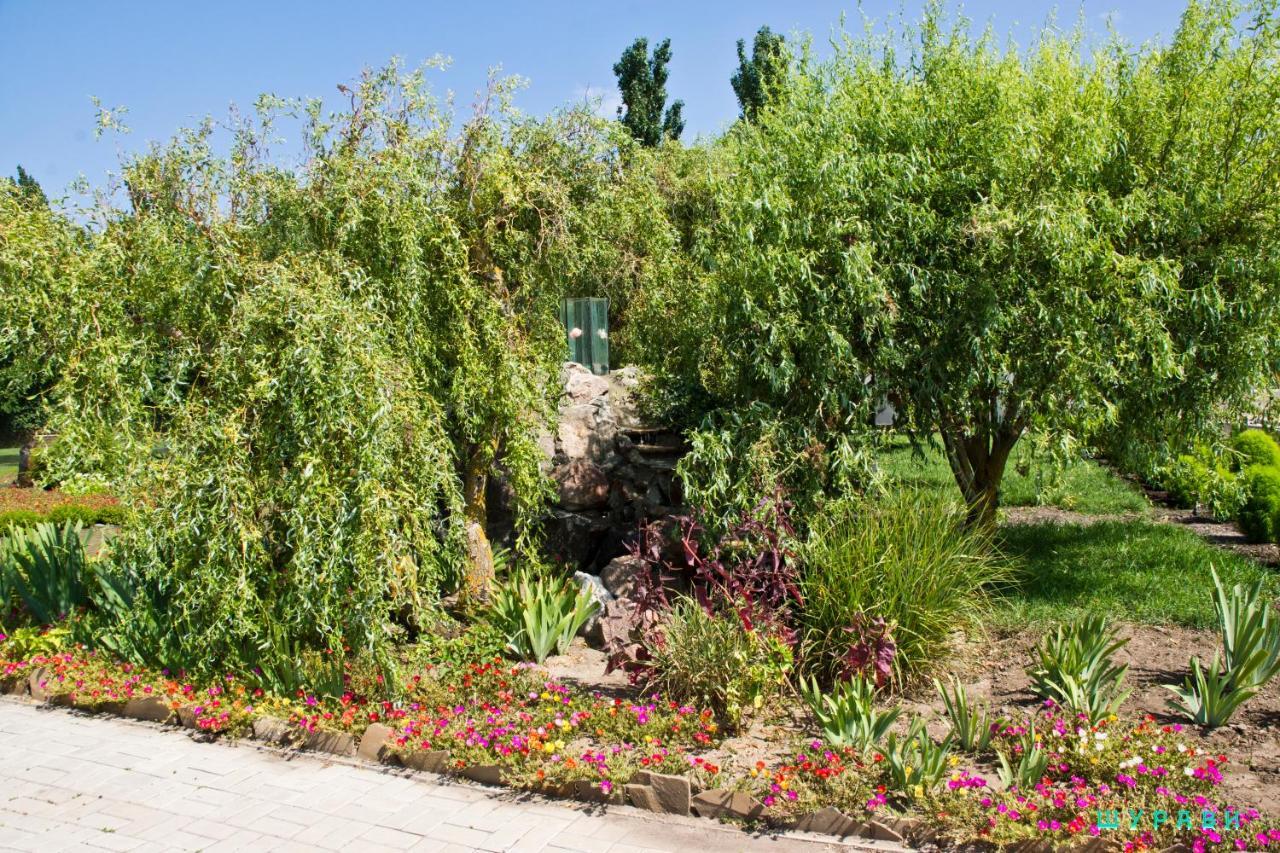 Отель Мелиоратор-Юг Коблево Экстерьер фото